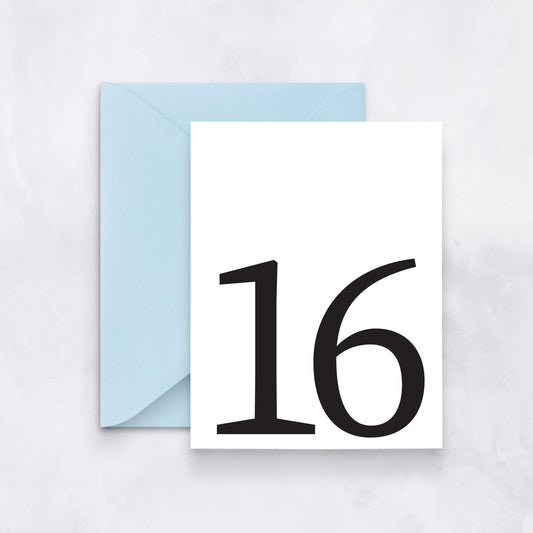 Sweet 16 Birthday Milestone Card
